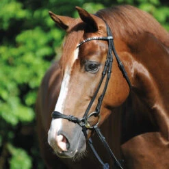 Kavalkade Fiala Drop Noseband Bridle -Horse Gear Shop fiala drop noseband bridle black horse 19043 kavalkade 70982.1607126906