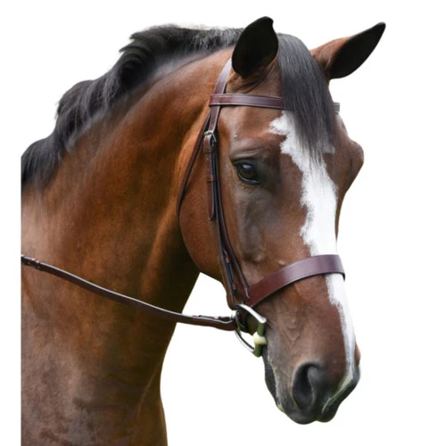 KL Italia Foxwell Hunt Bridle 1 KL Italia Foxwell Hunt Bridle