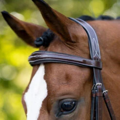 KL Select Hampton Hunter Bridle -Horse Gear Shop hampton hunter bridle brown crowpiece 110502 kl select 66133.1668721707