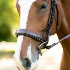 KL Select Hampton Hunter Bridle -Horse Gear Shop hampton hunter bridle brown noseband 110502 kl select 22107.1668721715