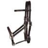 Tucker Horizon Series Halter Bridle