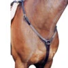 Nunn Finer Elastic Hunt Breastplate
