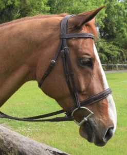 Red Barn Indio Hunter Bridle -Horse Gear Shop indio bridle chestnut horse 512402 red barn 01685.1684372478