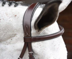 Red Barn Indio Hunter Bridle -Horse Gear Shop indio bridle padded crown 512402 red barn 69827.1684372465