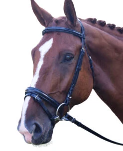 Black Oak Juniper Snaffle Bridle