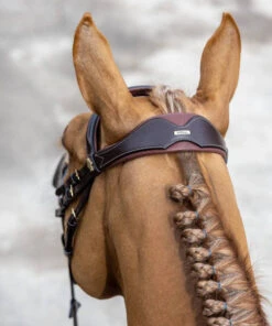 LeMieux Kudos Competition Bridle -Horse Gear Shop kudos competition bridle havana crown IT02645007 lemieux 89346.1689278116