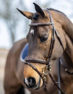 LeMieux Kudos Competition Bridle