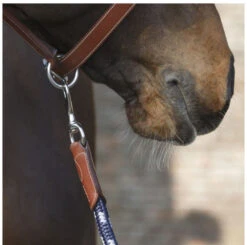 Antarès Lead Rope -Horse Gear Shop lead rope navy brown clip LIC2 antares 27398.1643754806