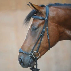 Kavalkade Levana Drop Noseband Bridle