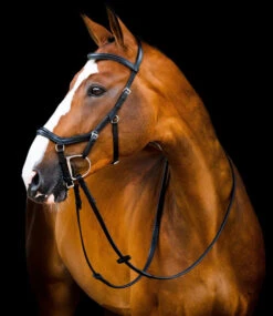 Horseware Ireland Horseware Micklem 2 Deluxe Competition Bridle 10 Horseware Ireland Horseware Micklem 2 Deluxe Competition Bridle -Horse Gear Shop micklem2 dlx competition black SBMUM2 K000 SC HW 63404.1689874464