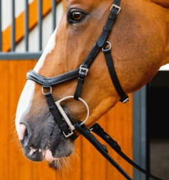 Horseware Ireland Horseware Micklem 2 Deluxe Competition Bridle 11 Horseware Ireland Horseware Micklem 2 Deluxe Competition Bridle -Horse Gear Shop micklem2 dlx competition black cheekpieceSBMUM2 K000 SC horseware ireland 23067.1689873947