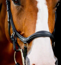 Horseware Ireland Horseware Micklem 2 Deluxe Competition Bridle 9 Horseware Ireland Horseware Micklem 2 Deluxe Competition Bridle -Horse Gear Shop micklem2 dlx competition black noseband SBMUM2 K000 SC horseware ireland 23455.1689873907