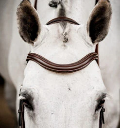 Horseware Ireland Horseware Micklem 2 Deluxe Competition Bridle 13 Horseware Ireland Horseware Micklem 2 Deluxe Competition Bridle -Horse Gear Shop micklem2 dlx competition havana browband SBMUM2 NAB0 SC horseware ireland 79266.1689874481