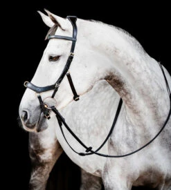 Horseware Ireland Horseware Micklem 2 Multi Bridle