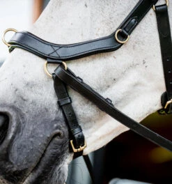 Horseware Ireland Horseware Micklem 2 Multi Bridle -Horse Gear Shop micklem2 multibridle black noseband SBMXM1 K000 LC HW 99249.1689871620