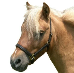 Mini Horse Leather Stable Halter