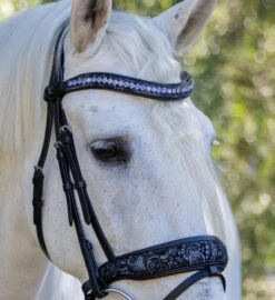 Halter Ego Munich Navy Floral Snaffle Bridle -Horse Gear Shop munich navy floral snaffle navy navy detail MUNICH halter ego 04698.1682639421