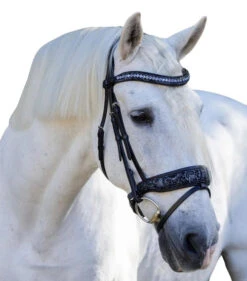 Halter Ego Munich Navy Floral Snaffle Bridle