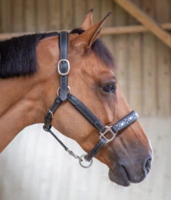 PÉNÉLOPE Pénélope Pearl Leather Halter -Horse Gear Shop pearl halter black side 510 311 315 penelope 19787.1688685436