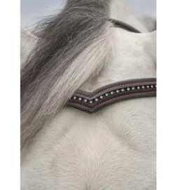 KL Select Pirouette Crystal Browband -Horse Gear Shop pirouette browband brown horse kl select 26005.1668189795