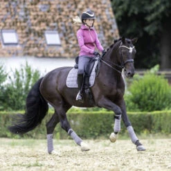 LeMieux Polo Bandages 11 LeMieux Polo Bandages -Horse Gear Shop polo bandages grey horse 9839 lemieux 08848.1670613727