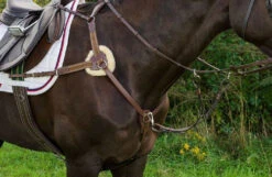 Henri De Rivel Pro 5-Point Elastic Breastplate -Horse Gear Shop pro 5 point elastic breastplate australian nut horse 5098 08 hdr 83155.1672253974