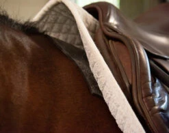 Pro4Mance Non-Slip Pad