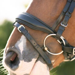 Red Barn Topline Snaffle Bridle -Horse Gear Shop rb topline snaffle bridle black detail 110612 kl select 36707.1689117918