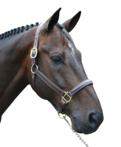 Red Barn Kate Fancy Stitch Halter -Horse Gear Shop red barn kate halter brown brass W kl select 63727.1682796912