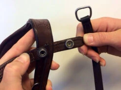 PS Of Sweden Flat Throat Latch- No Holes