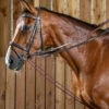 Dy'on Rope Draw Reins