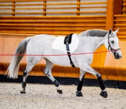 Horseware Ireland Horseware Micklem 2 Multi Bridle -Horse Gear Shop sbmxm0 nab0 horseware micklem 2 multibridle 7 81739.1689871624