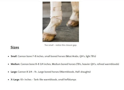 Euro Pro Askan Tall Hind Boot 5 Euro Pro Askan Tall Hind Boot - Image 5