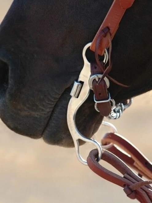 Classic Equine Stainless Steel Short Shank Correction Bit 1 Classic Equine Stainless Steel Short Shank Correction Bit