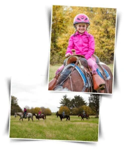 BOOMA Rein Safety Rein -Horse Gear Shop story 18086 04407.1527296824