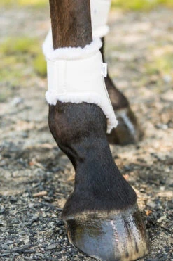 Euro Pro Thor Ankle Boots -Horse Gear Shop thor ankle boot white euro pro 30973.1601671100