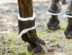 Euro Pro Thor Ankle Boots -Horse Gear Shop thor ankle boots black white euro pro 94012.1601671098