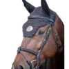 Jump'in Tuesday Flash Bridle