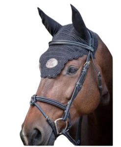 Jump'in Tuesday Flash Bridle