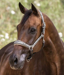 Halter Ego Venetian Floral Halter