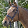 Stubben Waterford Bridle With Flash