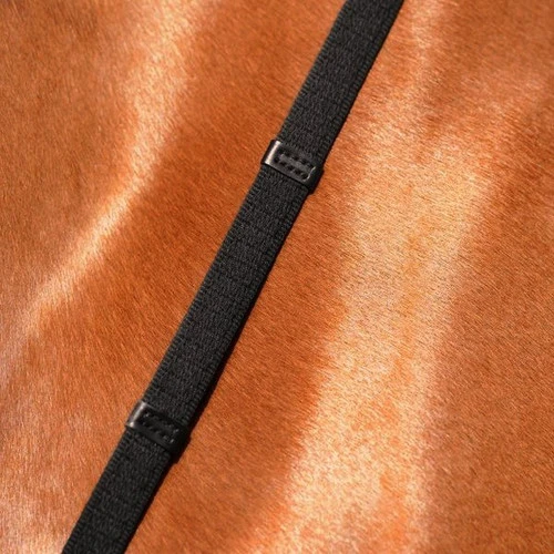 Passier Web Reins With Stops 1 Passier Web Reins With Stops