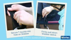 Wintec Webbers -Horse Gear Shop wintec webbers step 3 35493.1546887558